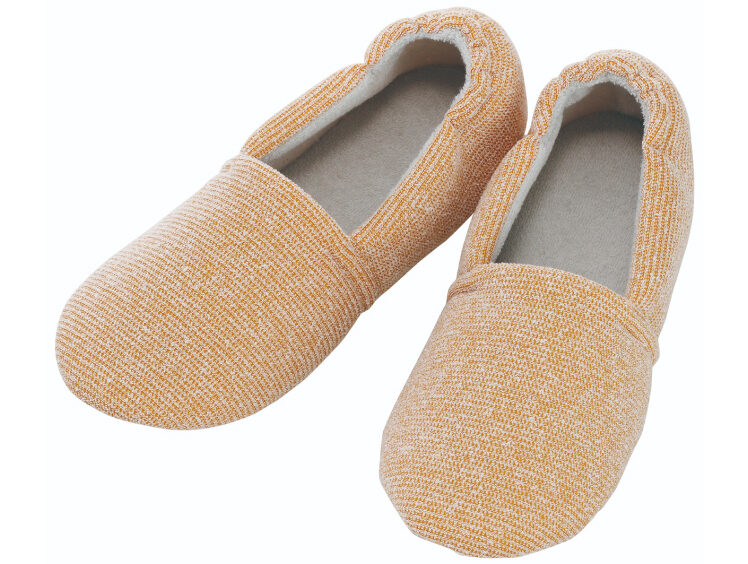 indoor_shoes