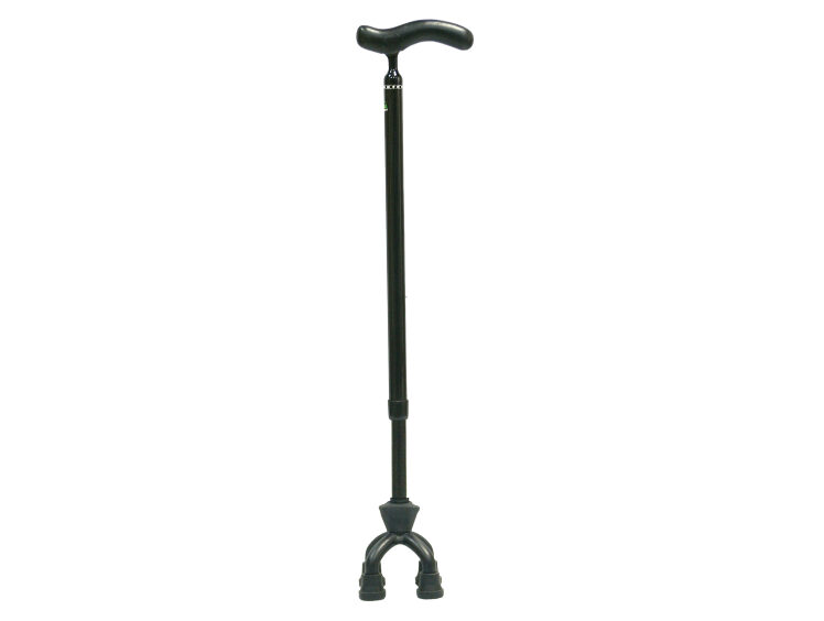 quad_cane